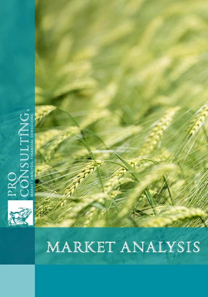 Market research report on grain and processed products in Ukraine. 2022 year